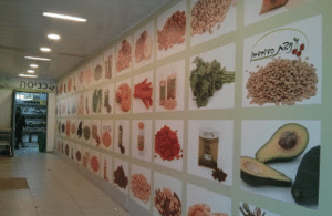 ניצת הדובדבן - סניף חורב